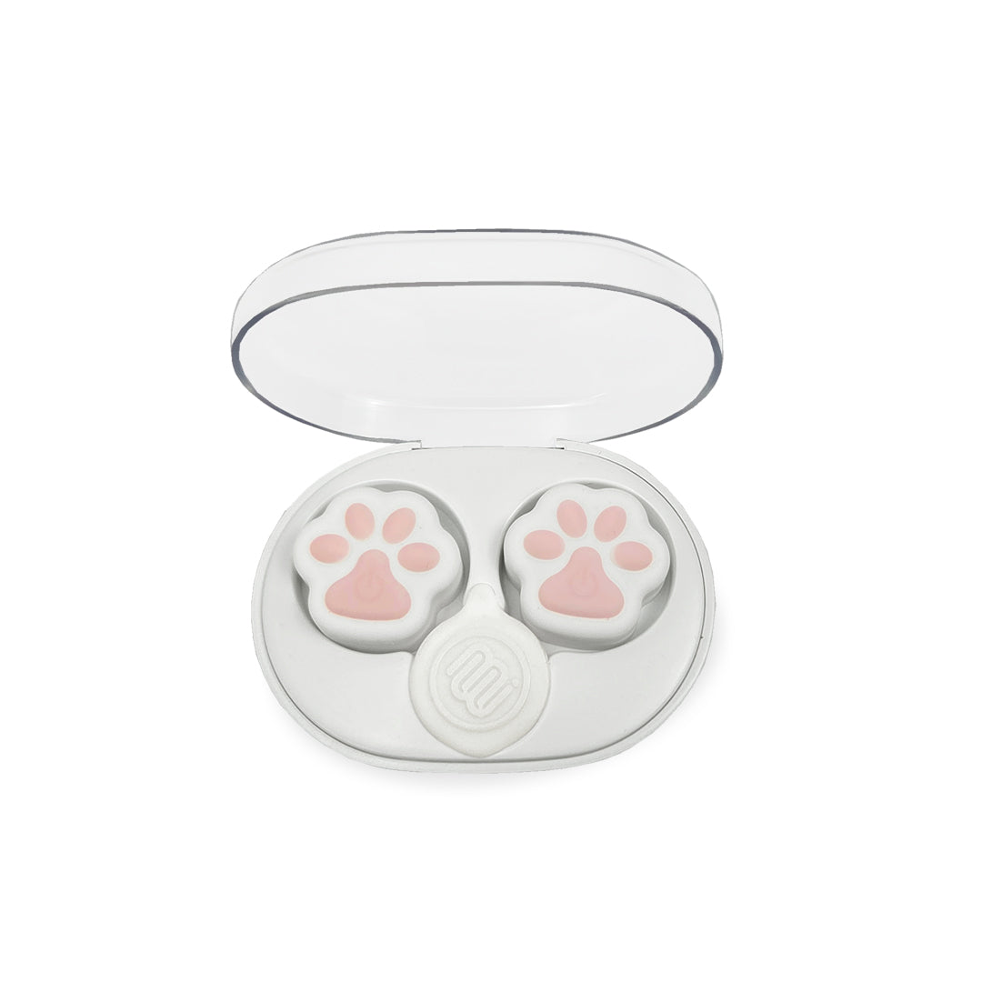 A compact rechargeable case